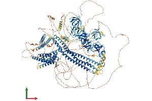 AlphaFold protein structure predicition of Mouse Recombinant Dnmbp Protein, UniprotID Q6TXD4