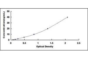 Typical standard curve (REG1A ELISA 试剂盒)