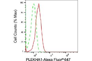 Flow cytometric analysis of PLEKHA1 expression in HT- cells using PLEKHA1 antibody (ABIN7799851), 1:2,000).