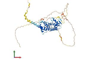 Protein Structure (PS) image for Proline Rich 5 (Renal) (PRR5) (AA 1-388) protein (His tag) (ABIN7555066)