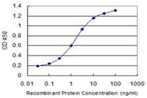 Detection limit for recombinant GST tagged XIAP is 0. (XIAP 抗体  (AA 51-150))