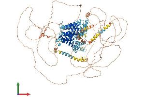 Protein Structure (PS) image for Solute Carrier Family 24 (Sodium/potassium/calcium Exchanger), Member 1 (SLC24A1) (AA 1-1099) protein (His tag) (ABIN7554709)