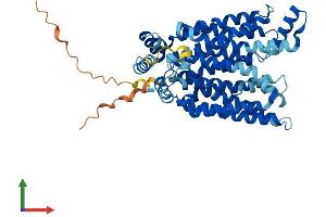 Protein Structure (PS) image for Solute Carrier Family 2 (Facilitated Glucose Transporter), Member 7 (SLC2A7) (AA 1-512) protein (His tag) (ABIN7548191)