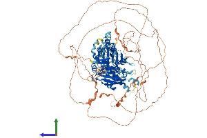 Protein Structure (PS) image for Microtubule-Associated Protein 1S (MAP1S) (AA 1-1059) protein (His tag) (ABIN7554463)