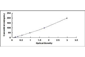 Typical standard curve (Ferritin ELISA 试剂盒)