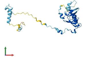 AlphaFold protein structure predicition of Mouse Recombinant Pop4 Protein, UniprotID Q9CR08