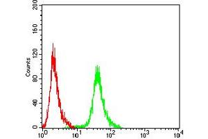 Flow cytometric analysis of MCF-7 cells using ANAPC1 mouse mAb (green) and negative control (red).
