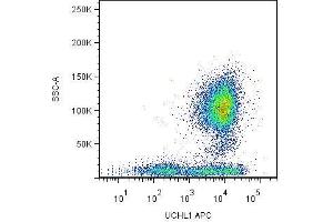 Surface staining of human peripheral blood leukocytes by mouse monoclonal anti-CD45R0 antibody UCHL1 . (CCL20 抗体  (FITC))