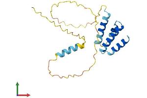 AlphaFold protein structure predicition of Human Recombinant CT45A7 Protein, UniprotID P0DMV0 (CT45A7 (AA 1-189) protein (His tag))