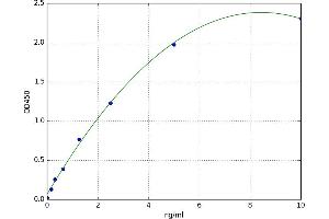 Transcobalamin II (TCN2) ELISA Kit