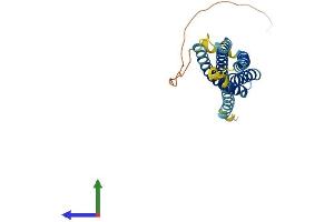 AlphaFold protein structure predicition of Human Recombinant MS4A2 Protein, UniprotID Q01362