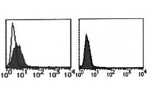 Flow Cytometry (FACS) image for anti-cDNA Sequence AF251705 (AF251705) antibody (ABIN1108296) (cDNA Sequence AF251705 (AF251705) 抗体)