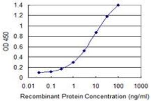 Detection limit for recombinant GST tagged FBXL3 is 0. (FBXL3 抗体  (AA 1-100))