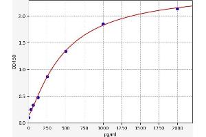 Typical standard curve (RNF7 ELISA 试剂盒)