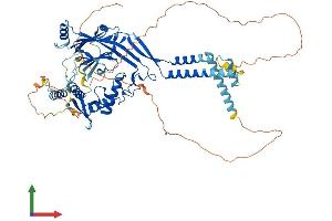 AlphaFold protein structure predicition of Mouse Recombinant Scnn1a Protein, UniprotID Q61180 (SCNN1A Protein (AA 1-699) (His tag))
