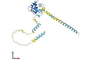 Protein Structure (PS) image for EF-Hand Domain Family, Member D1 (EFHD1) (AA 1-240) protein (His tag) (ABIN7560992)