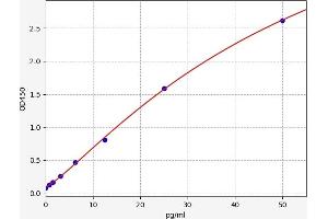 Endothelin 2 ELISA 试剂盒