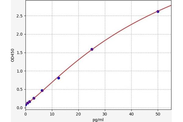 Endothelin 2 ELISA 试剂盒