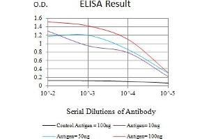Black line: Control Antigen (100 ng),Purple line: Antigen (10 ng), Blue line: Antigen (50 ng), Red line:Antigen (100 ng) (CD80 抗体  (AA 35-288))