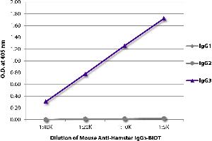 ELISA plate was coated with purified hamster IgG1, IgG2, and IgG3. (小鼠 anti-Hamster IgG3 Antibody (Biotin))