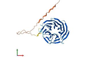 Protein Structure (PS) image for Small Nuclear Ribonucleoprotein 40kDa (U5) (SNRNP40) (AA 1-357) protein (His tag) (ABIN7546330)