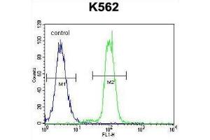 Flow Cytometry (FACS) image for anti-Kruppel-Like Factor 4 (Gut) (KLF4) antibody (ABIN2996460) (KLF4 抗体)