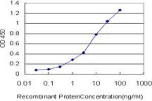 Detection limit for recombinant GST tagged POLR2H is approximately 0. (POLR2H 抗体  (AA 1-150))