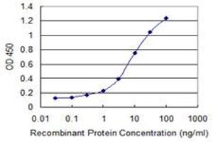 Detection limit for recombinant GST tagged SGCG is 0. (SGCG 抗体  (AA 191-290))