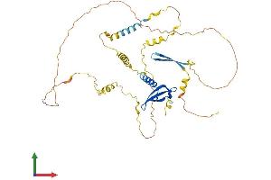 AlphaFold protein structure predicition of Mouse Recombinant Cbx6 Protein, UniprotID Q9DBY5