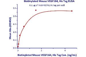 Image no. 2 for Vascular Endothelial Growth Factor A (VEGFA) (AA 27-190) (Active) protein (His tag,AVI tag,Biotin) (ABIN4949052)