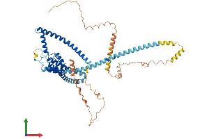 Protein Structure (PS) image for Potassium Channel, Subfamily K, Member 10 (KCNK10) (AA 1-538) protein (His tag) (ABIN7548666)