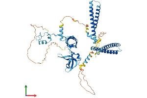 Protein Structure (PS) image for Zinc Finger, CCCH-Type with G Patch Domain (ZGPAT) (AA 1-531) protein (His tag) (ABIN7556075)