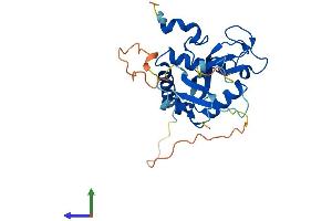 Protein Structure (PS) image for Polycomb Group Ring Finger 5 (PCGF5) (AA 1-256) protein (His tag) (ABIN7550649)