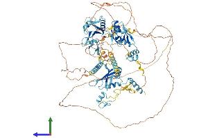 Protein Structure (PS) image for RNA Binding Motif Protein 10 (RBM10) (AA 1-930) protein (His tag) (ABIN7555150)