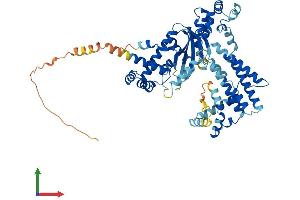AlphaFold protein structure predicition of Human Recombinant FAM200A Protein, UniprotID Q8TCP9