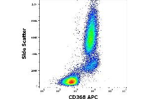 Flow cytometry surface staining pattern of human peripheral whole blood stained using anti-human CD368 (9B9) APC antibody (10 μL reagent / 100 μL of peripheral whole blood).