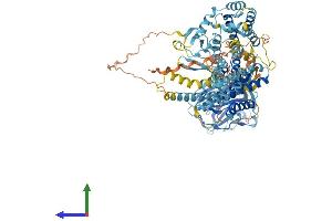 AlphaFold protein structure predicition of Human Recombinant ADGRD2 Protein, UniprotID Q7Z7M1 (ADGRD2 (AA 1-963) protein (His tag))