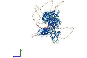AlphaFold protein structure predicition of Human Recombinant AP3B1 Protein, UniprotID O00203
