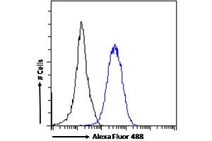 (ABIN625825) Flow cytometric analysis of paraformaldehyde fixed HeLa cells (blue line), permeabilized with 0. (RORC 抗体  (AA 200-212))