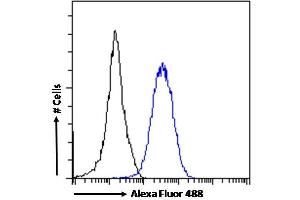 (ABIN625825) Flow cytometric analysis of paraformaldehyde fixed HeLa cells (blue line), permeabilized with 0. (RORC 抗体  (AA 200-212))