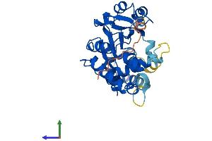 Protein Structure (PS) image for Sulfotransferase Family 4A, Member 1 (SULT4A1) (AA 1-284) protein (His tag) (ABIN7556640)