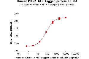 ELISA plate pre-coated by 5 μg/mL (100 μL/well) Human Protein, His Tag (ABIN7455721, ABIN7491292 and ABIN7491293) can bind Human Protein, hFc Tag(ABIN7092683, ABIN7272242 and ABIN7272243) in a linear range of 16-400 ng/mL.