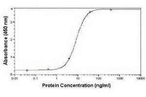 ELISA image for anti-Very Low Density Lipoprotein (VLDL) antibody (ABIN2467933) (Very Low Density Lipoprotein (VLDL) 抗体)