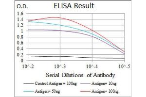Red: Control Antigen (100ng) ; Purple: Antigen (10ng) ; Green: Antigen (50ng) ; Blue: Antigen (100ng). (FAS 抗体)