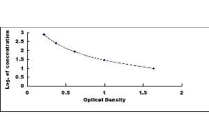 Typical standard curve