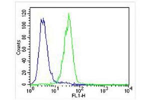 Overlay histogram showing U-87 MG cells stained with (ABIN656585 and ABIN2845847) (green line). (PLOD1 抗体  (N-Term))