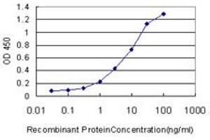 Detection limit for recombinant GST tagged ARHGDIA is approximately 0. (ARHGDIA 抗体  (AA 1-204))