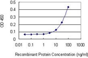 Detection limit for recombinant GST tagged SETDB2 is 3 ng/ml as a capture antibody. (SETDB2 抗体  (AA 620-719))