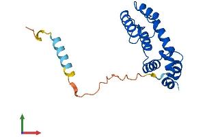 AlphaFold protein structure predicition of Human Recombinant RGS5 Protein, UniprotID O15539