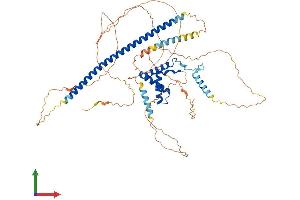 Protein Structure (PS) image for SRY (Sex Determining Region Y)-Box 13 (SOX13) (AA 1-613) protein (His tag) (ABIN7556893)
